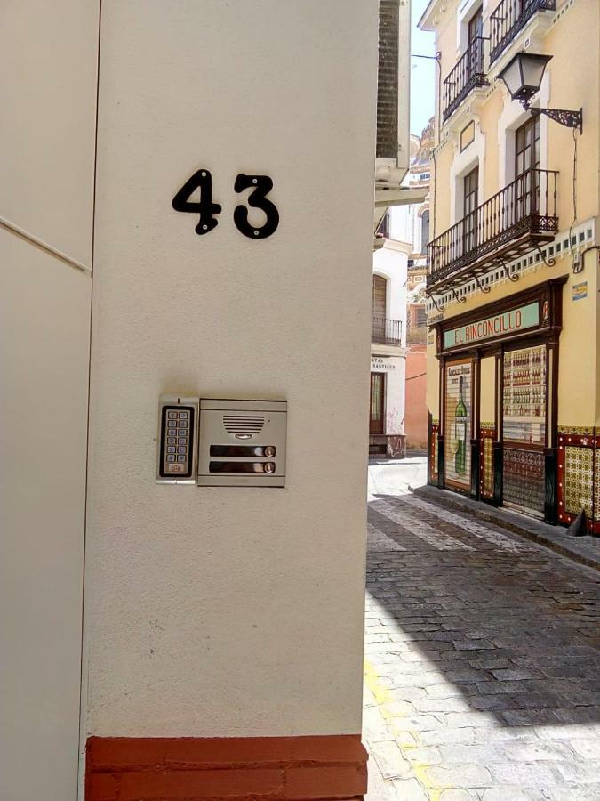 Bajo Gerona Séville